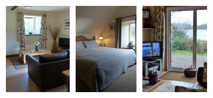 Website15Collage.jpg